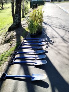 Ready for planting